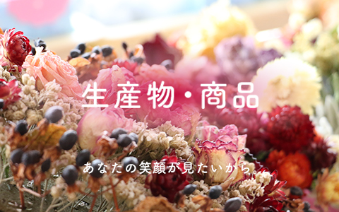 imk_products_mv_mp2