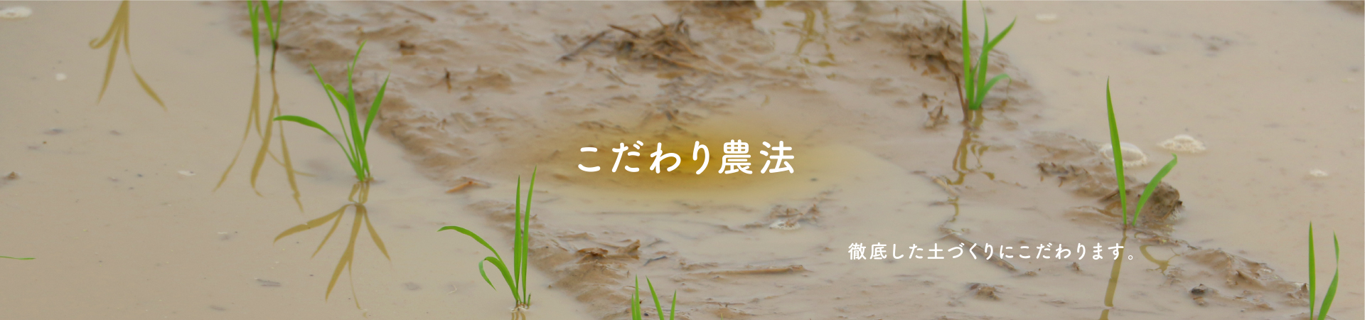 in_kodawari_mv1