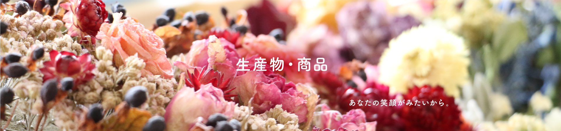 in_products_mv1