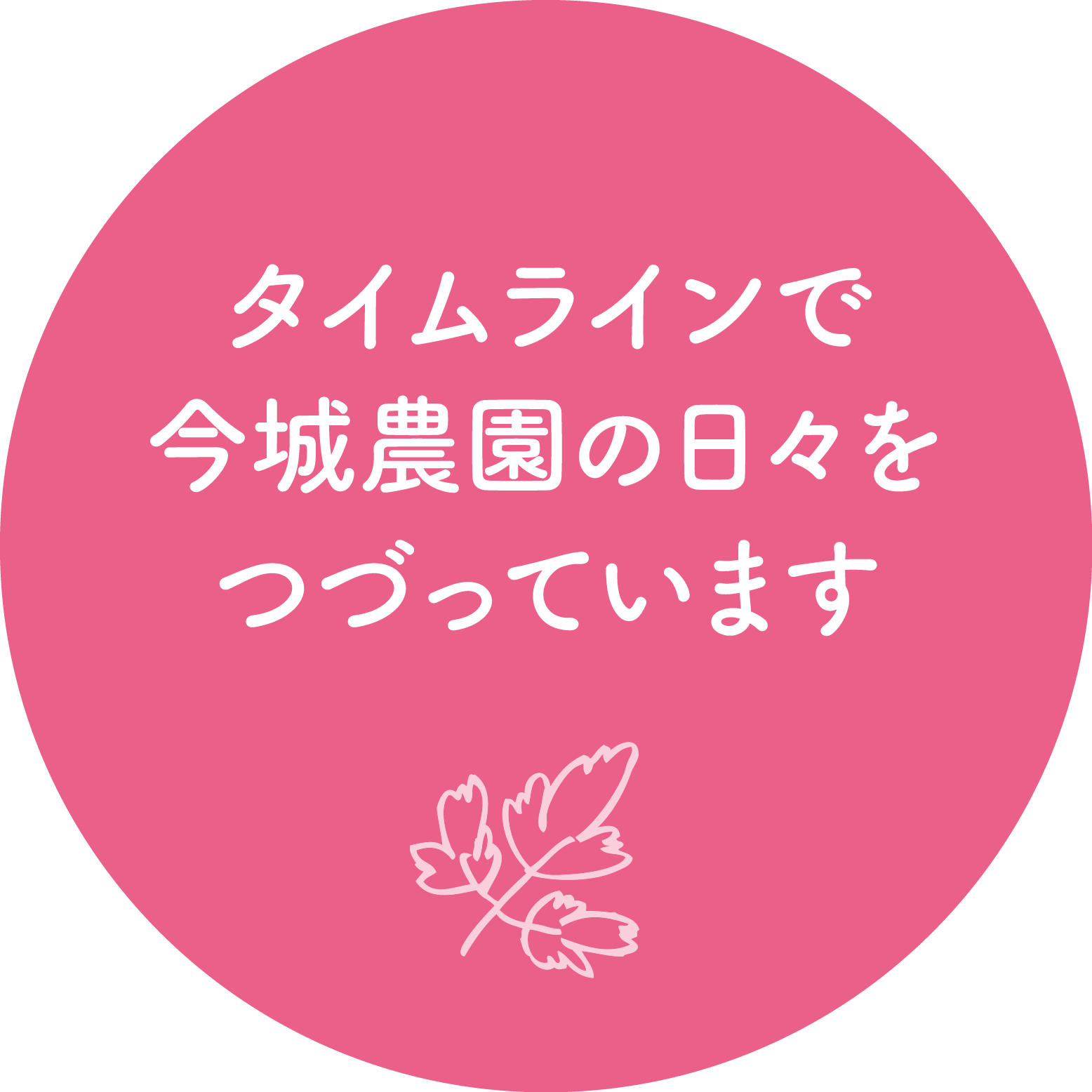 in_sp_tl
